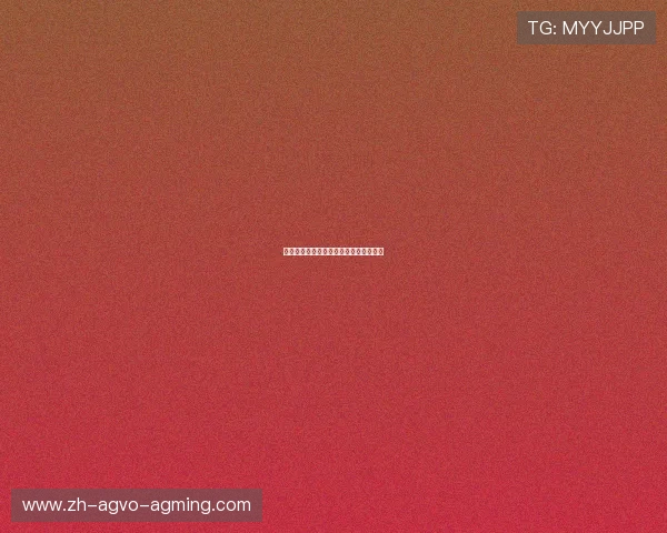 球队新赛季目标设定明确战略方向与期望