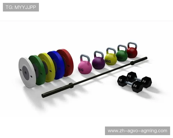 自制健身器材：创意与功能兼具的家用健身设备