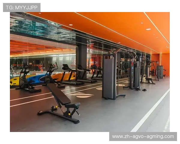 翰马品牌健身器材介绍及市场评价